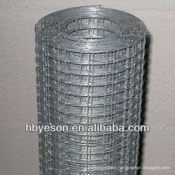 welded wire mesh